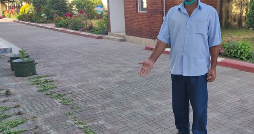 Astarada çətənə yetişdirən şəxs tutuldu Astarada çətənə yetişdirən şəxs tutuldu