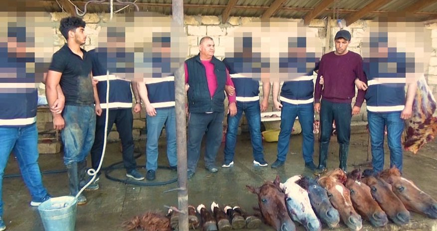 Ölü at əti satan şəxslər polis tərəfindən saxlanıldı-FOTOLAR Ölü at əti satan şəxslər polis tərəfindən saxlanıldı-FOTOLAR
