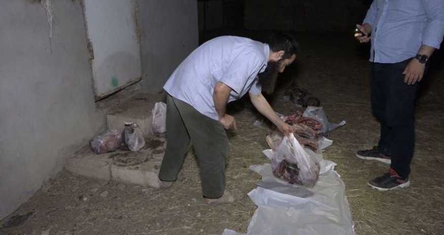 Bakıda 150 kiloqram kəsilmiş at əti aşkarlanıb- VİDEO Bakıda 150 kiloqram kəsilmiş at əti aşkarlanıb- VİDEO