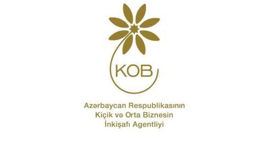 KOBİA-da kadr dəyişikliyi olub KOBİA-da kadr dəyişikliyi olub