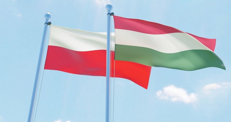 Венгрия и Польша заблокировали проект семилетнего бюджета ЕС Венгрия и Польша заблокировали проект семилетнего бюджета ЕС