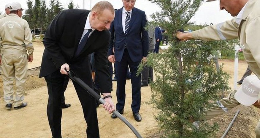 Президент Ильхам Алиев посадил дерево в Агдамском городском лесопарке Президент Ильхам Алиев посадил дерево в Агдамском городском лесопарке