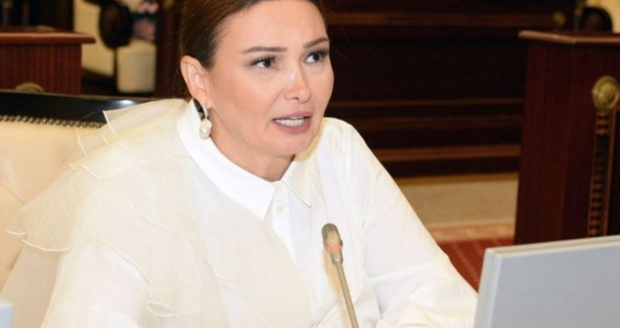 Qənirə Paşayeva məmurları tənqid edib Qənirə Paşayeva məmurları tənqid edib