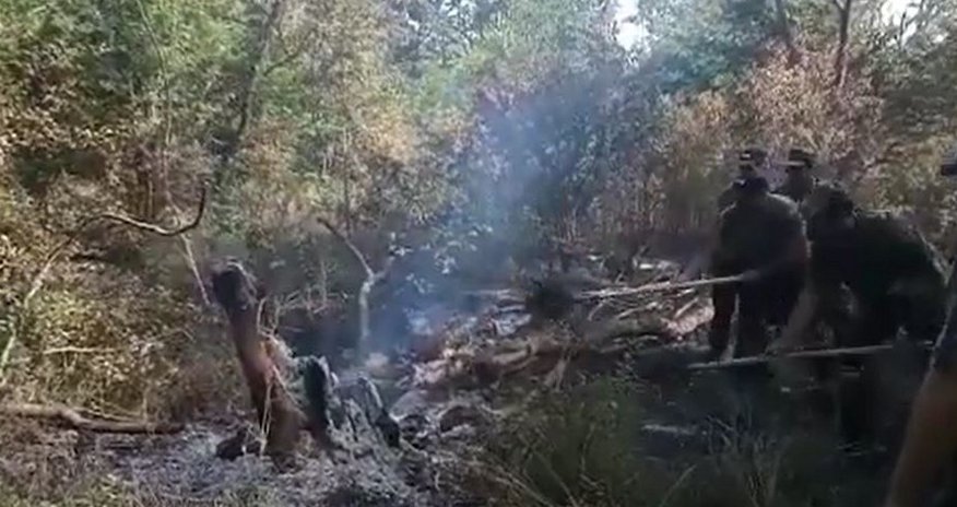 Nabranda meşə və meşəətrafı zonada baş verən yanğın söndürülüb - VİDEO Nabranda meşə və meşəətrafı zonada baş verən yanğın söndürülüb - VİDEO