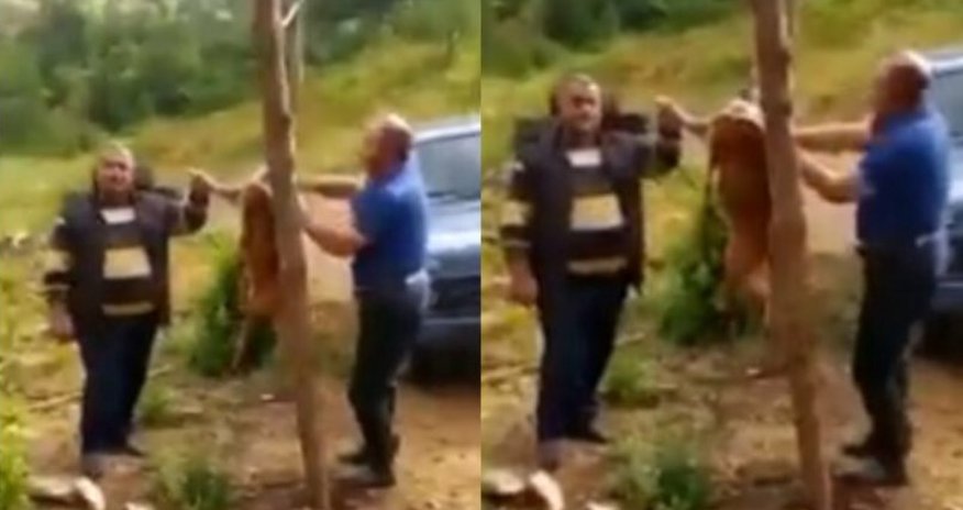 Laçında iki nəfərin cüyür ovlayıb, kef məclisi təşkil etməsi ilə bağlı DİN-dən AÇIQLAMA - VİDEO Laçında iki nəfərin cüyür ovlayıb, kef məclisi təşkil etməsi ilə bağlı DİN-dən AÇIQLAMA - VİDEO