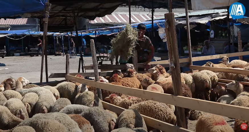 Bakıda Qurban bayramı ovqatı - Video Bakıda Qurban bayramı ovqatı - Video