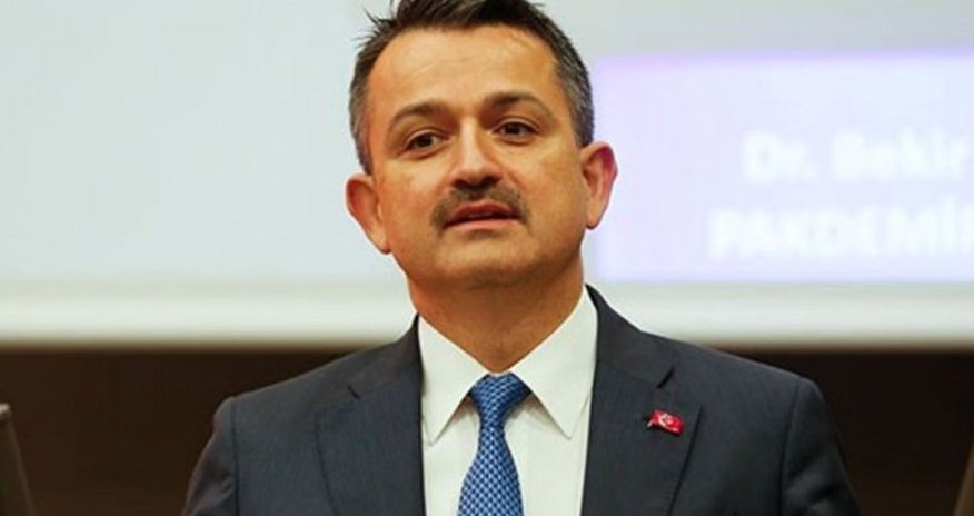 Nazir: “Azərbaycandan daha 362 nəfər yanğınsöndürən və 41 yanğınsöndürən maşın gəlib” Nazir: “Azərbaycandan daha 362 nəfər yanğınsöndürən və 41 yanğınsöndürən maşın gəlib”