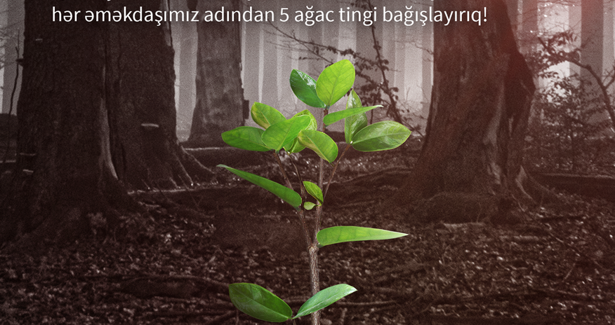 Kapital Bank meşələrin bərpası üçün Türkiyəyə dəstək göstərdi Kapital Bank meşələrin bərpası üçün Türkiyəyə dəstək göstərdi