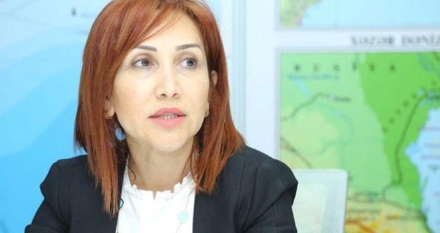 Qəbələdə baş verən yanğınla bağlı RƏSMİ AÇIQLAMA Qəbələdə baş verən yanğınla bağlı RƏSMİ AÇIQLAMA