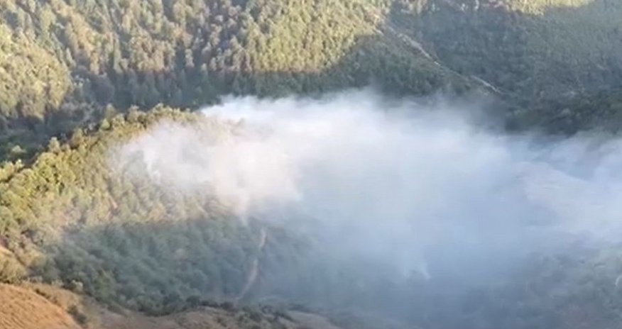 Lerikdə meşə yanğını davam edir - Video Lerikdə meşə yanğını davam edir - Video
