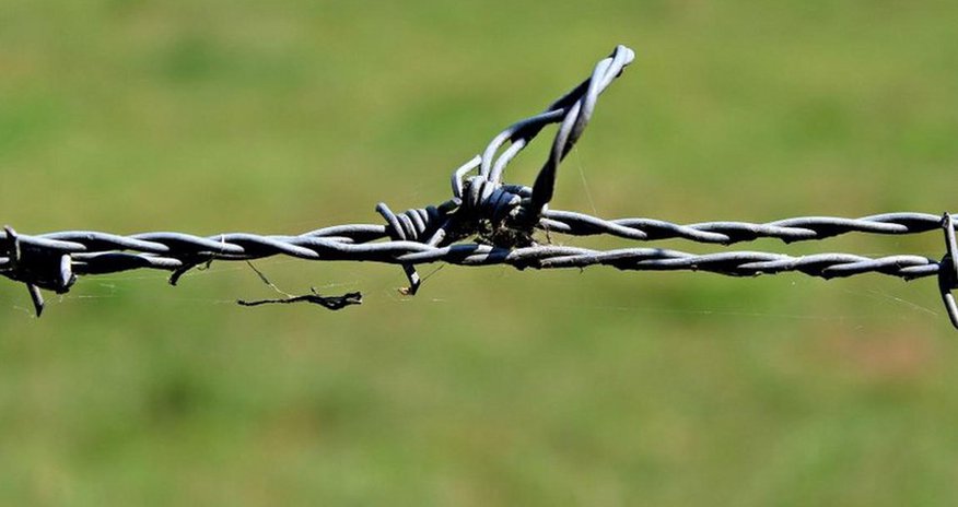 В Польше пресекли более 500 попыток перехода границы мигрантами В Польше пресекли более 500 попыток перехода границы мигрантами