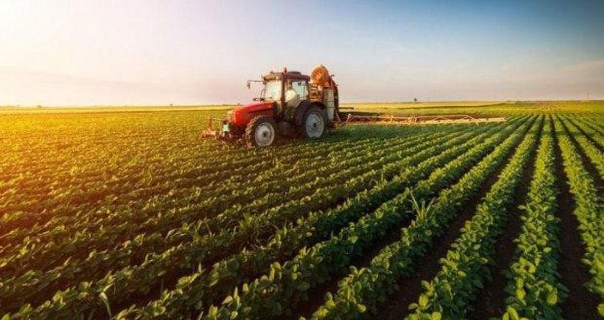 Azərbaycanda 15 rayonun pay torpaqlarında dürüstləşdirmə işləri yekunlaşıb Azərbaycanda 15 rayonun pay torpaqlarında dürüstləşdirmə işləri yekunlaşıb