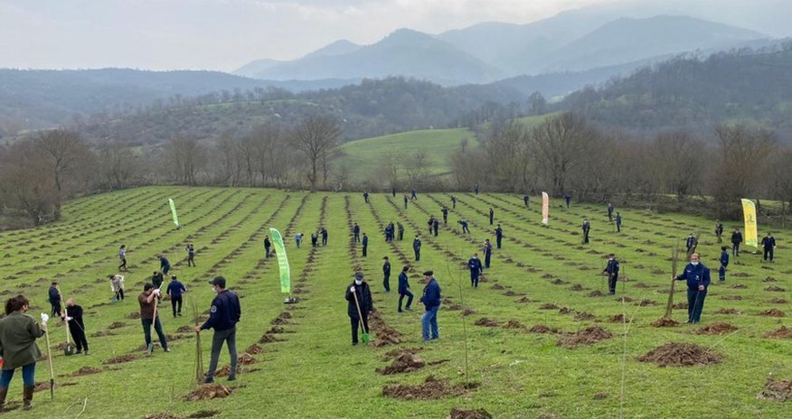 Azerbaijan joins Turkish action, 111,000 trees to be planted Azerbaijan joins Turkish action, 111,000 trees to be planted