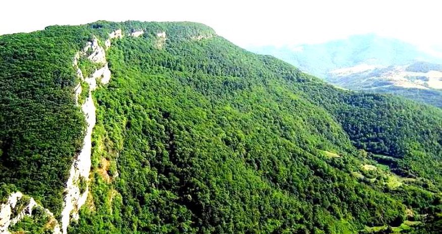 ETSN: Topxana meşəsinin bərpası üzrə işlər görülür ETSN: Topxana meşəsinin bərpası üzrə işlər görülür