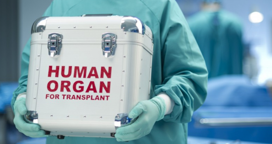 Orqan transplantasiyası haqqında qanun qüvvəyə minib Orqan transplantasiyası haqqında qanun qüvvəyə minib