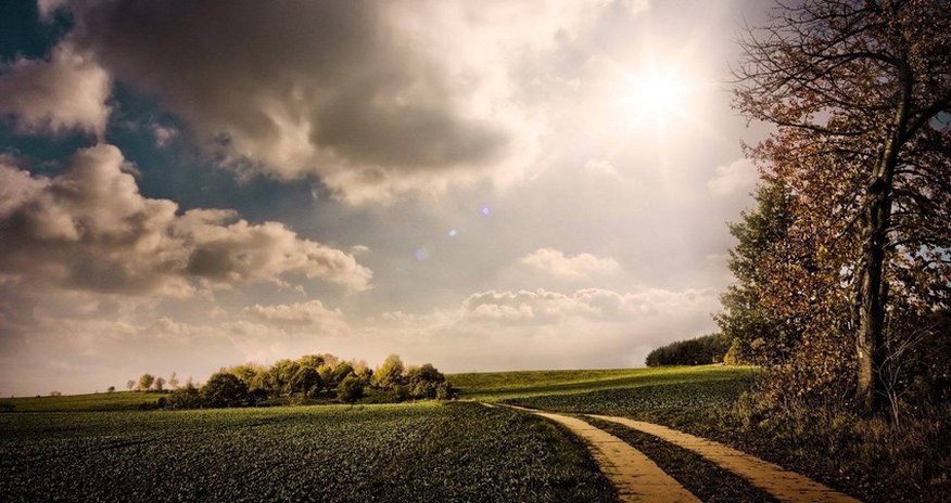 Cloudy weather expected tomorrow Cloudy weather expected tomorrow
