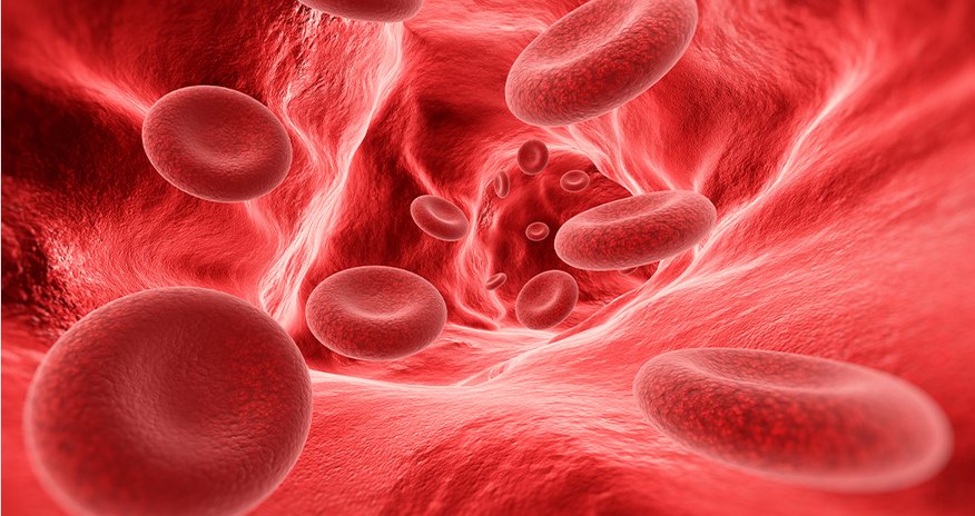 Azərbaycanda hemofiliya xəstələrinin sayı açıqlanıb Azərbaycanda hemofiliya xəstələrinin sayı açıqlanıb