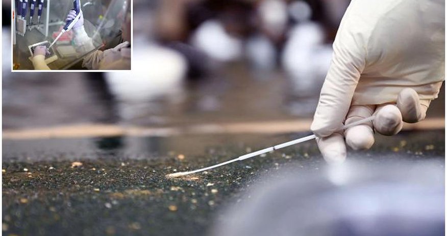 “H3N8” virusu ilk dəfə insanda aşkarlanıb “H3N8” virusu ilk dəfə insanda aşkarlanıb