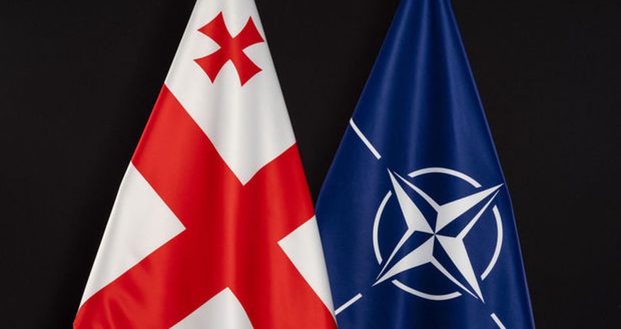 Gürcüstan NATO sammitinə dəvət olunacaq Gürcüstan NATO sammitinə dəvət olunacaq