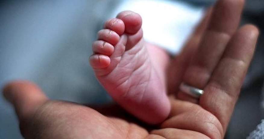 Küçədən yeni doğulmuş körpə meyiti tapıldı Küçədən yeni doğulmuş körpə meyiti tapıldı