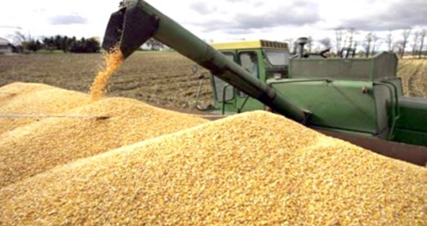 Ukrainian embassy says Russia ships 'stolen' wheat to Syria Ukrainian embassy says Russia ships 'stolen' wheat to Syria