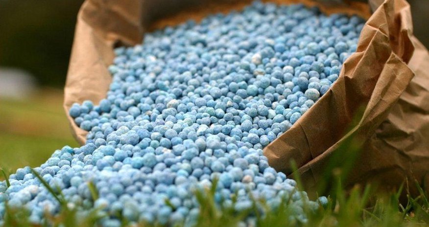 Azerbaijan may increase exports of non-oil products to Uzbekistan Azerbaijan may increase exports of non-oil products to Uzbekistan