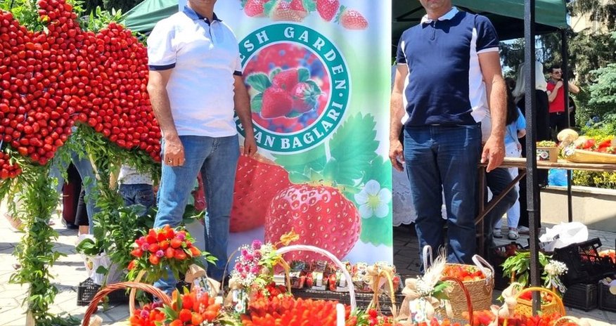 USAID-in dəstəyi ilə çiyələyin ixracı artacaq USAID-in dəstəyi ilə çiyələyin ixracı artacaq