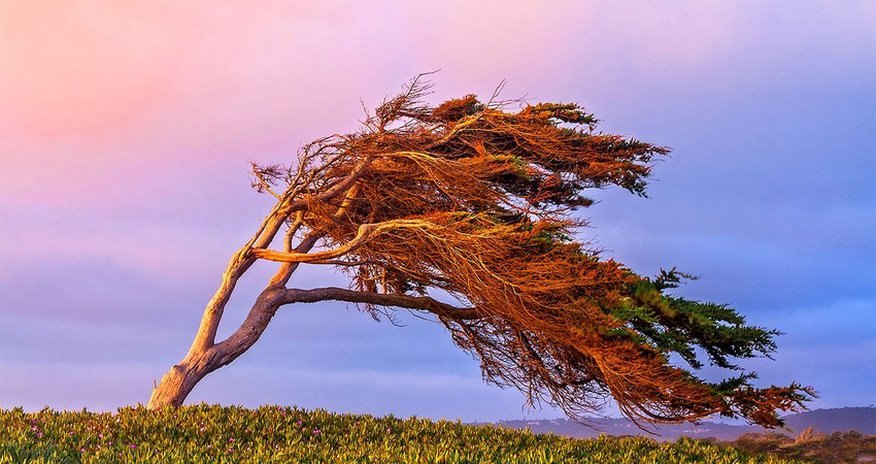 Strong wind expected in Baku Strong wind expected in Baku