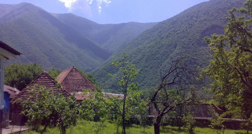 В Шеки горит лес В Шеки горит лес