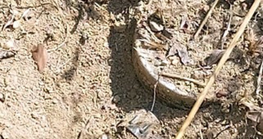 Five Armenian-made PMN-Э mines found in Khojaly Five Armenian-made PMN-Э mines found in Khojaly
