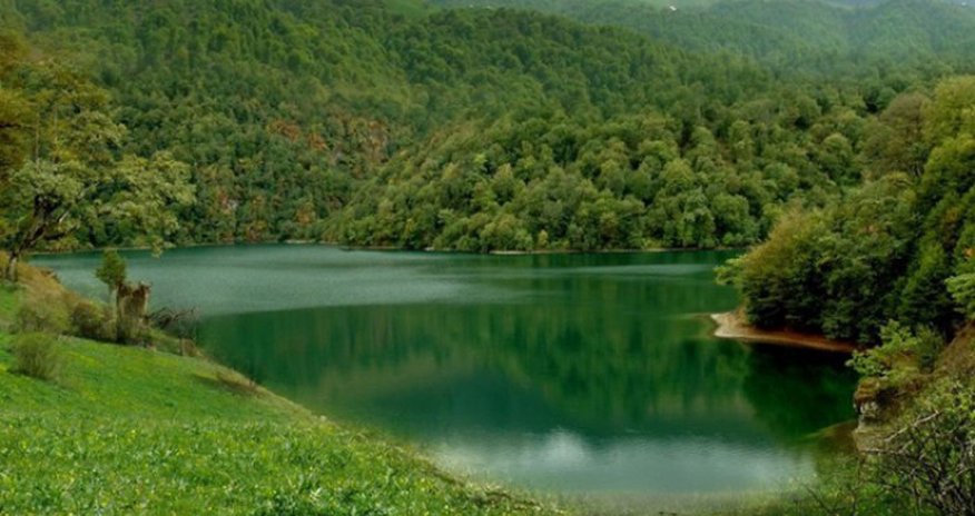 Azərbaycanda yeni milli parklar yaradılacaq Azərbaycanda yeni milli parklar yaradılacaq