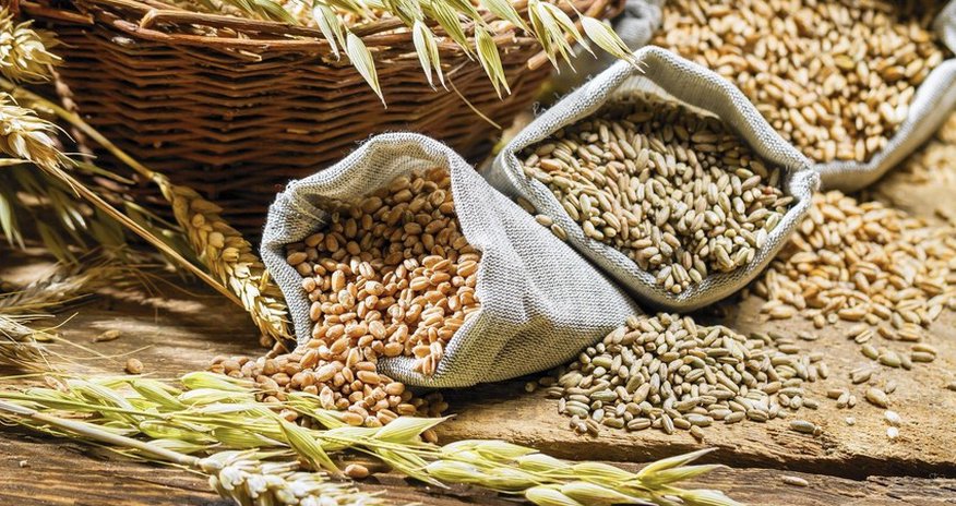 Turkiye, Russia working on list of countries for export of grain and fertilizers Turkiye, Russia working on list of countries for export of grain and fertilizers