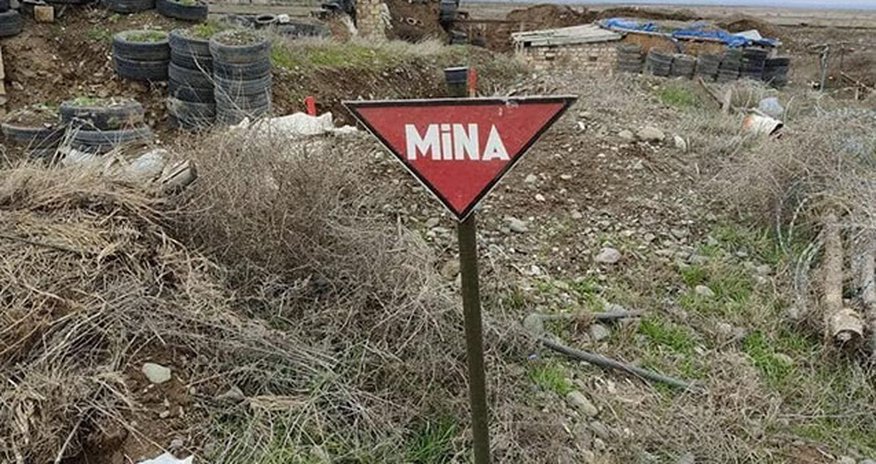 ANAMA-da qaynar xətt yaradıldı ANAMA-da qaynar xətt yaradıldı