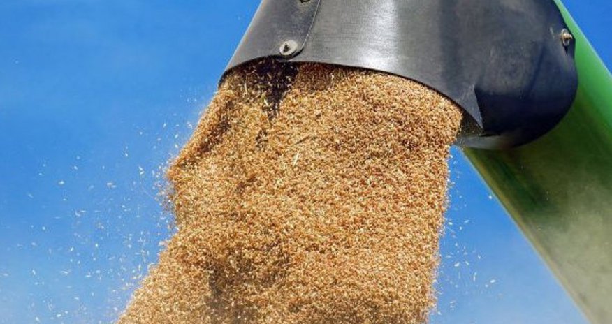Erdogan: About 11M tons of grain exported as part of grain deal Erdogan: About 11M tons of grain exported as part of grain deal