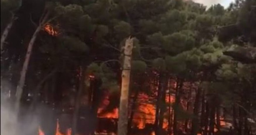 Bakıda yanğın ağaclıq əraziyə keçib Bakıda yanğın ağaclıq əraziyə keçib