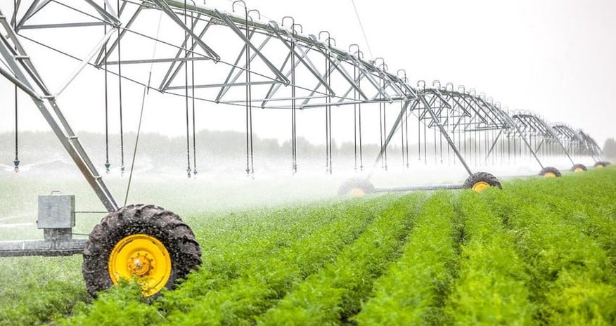 Azerbaijan's agrarian sector grows by over 3% Azerbaijan's agrarian sector grows by over 3%