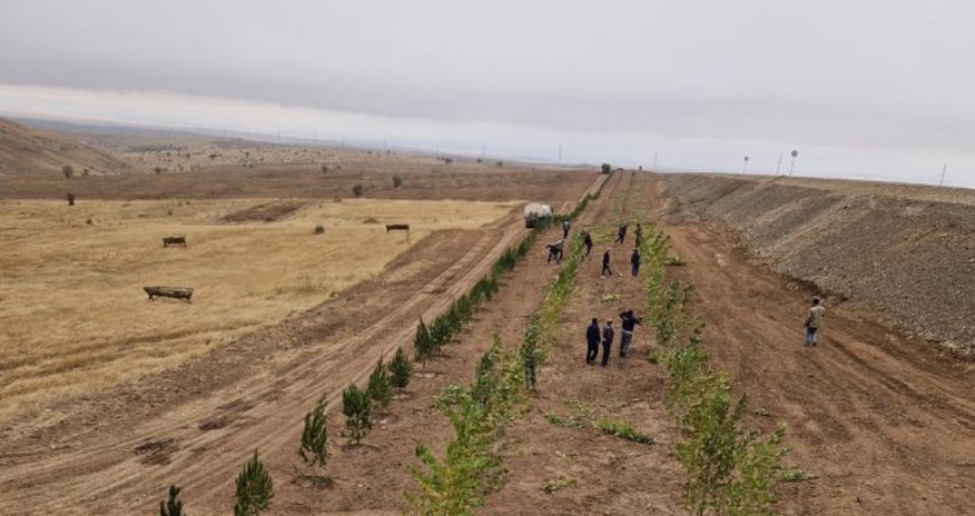 Bu gün 3200 ağac əkilib Bu gün 3200 ağac əkilib
