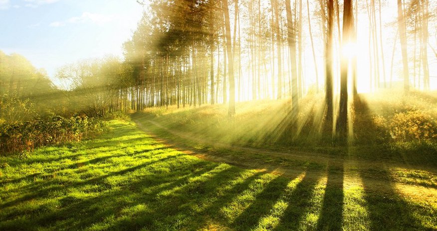 Weather temperature to reach 18 C tomorrow Weather temperature to reach 18 C tomorrow