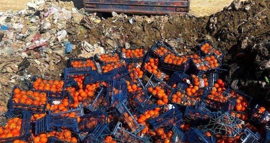 İrandan gətirilən portağal və bibərdə viruslar aşkarlandı İrandan gətirilən portağal və bibərdə viruslar aşkarlandı