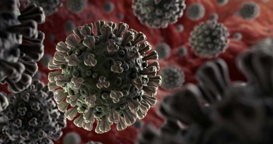 COVID causes brain damage in 2 infants infected during pregnancy - US study COVID causes brain damage in 2 infants infected during pregnancy - US study