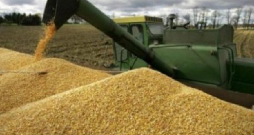 Kremlin: Little perspective of next extension of Grain Agreement Kremlin: Little perspective of next extension of Grain Agreement
