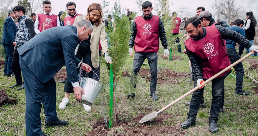 Növbəti 3 rayonda “Vətən Bağı” salındı Növbəti 3 rayonda “Vətən Bağı” salındı
