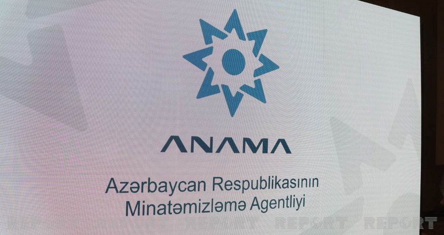 ANAMA объявило набор сотрудников ANAMA объявило набор сотрудников