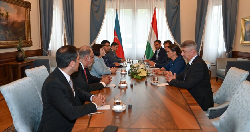 Sahibə Qafarova Macarıstan Prezidenti ilə görüşüb Sahibə Qafarova Macarıstan Prezidenti ilə görüşüb
