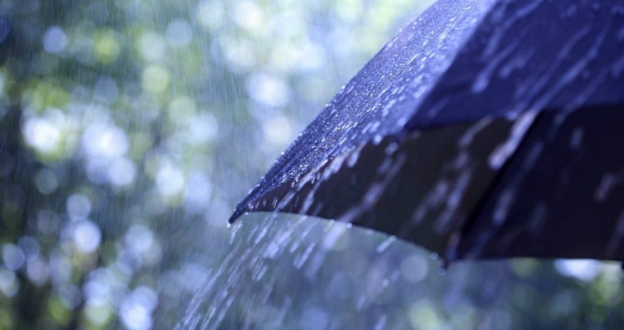 Rain, strong wind expected tomorrow Rain, strong wind expected tomorrow