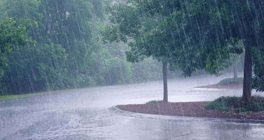 Showers forecasted for tomorrow Showers forecasted for tomorrow