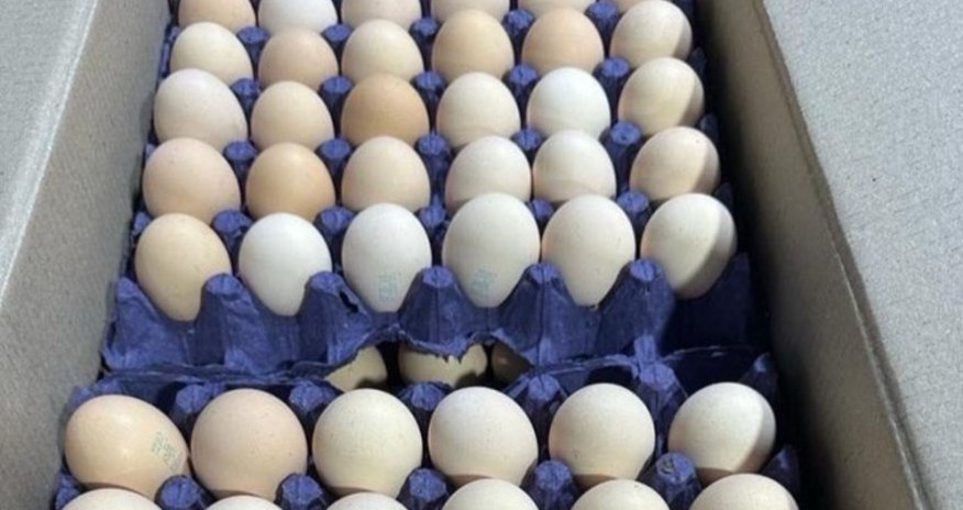 Azerbaijan begins exporting edible eggs to Russia Azerbaijan begins exporting edible eggs to Russia