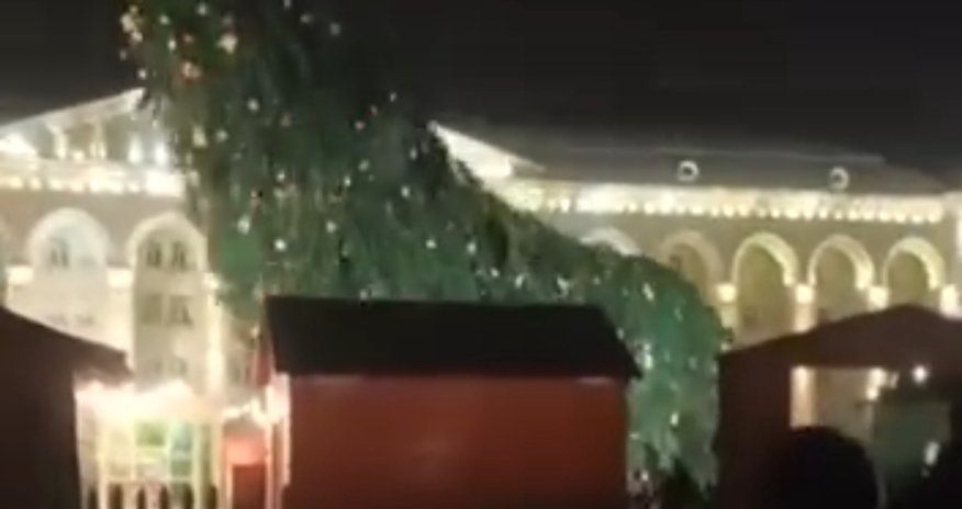 Gəncədə Yeni il ağacı aşıb Gəncədə Yeni il ağacı aşıb