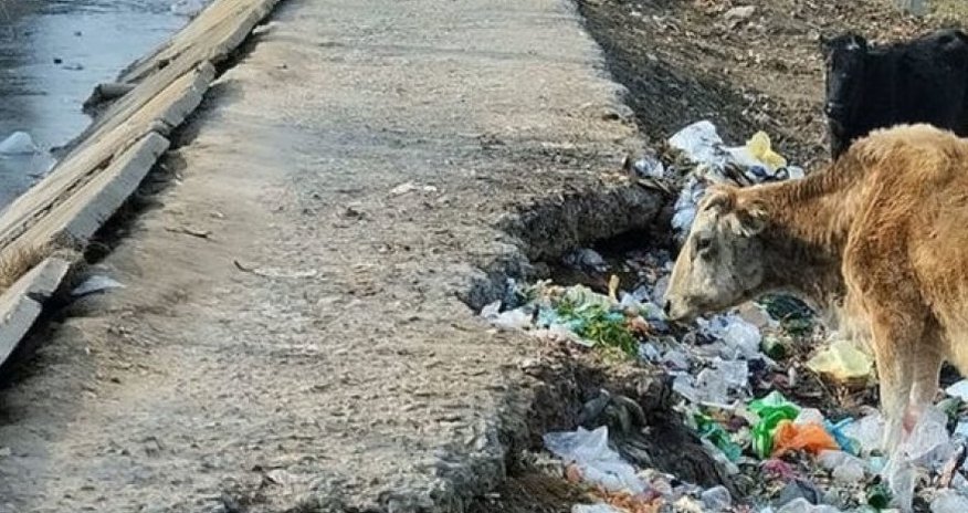 Дорога в Имишлинском районе находится в плачевном состоянии Дорога в Имишлинском районе находится в плачевном состоянии