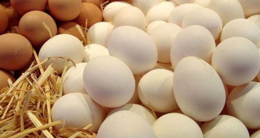 Azerbaijan sends 3.3M eggs to Russia Azerbaijan sends 3.3M eggs to Russia